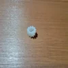 Изображение - Шестерня картриджа от Ricoh SP150 - Stav3DPrint